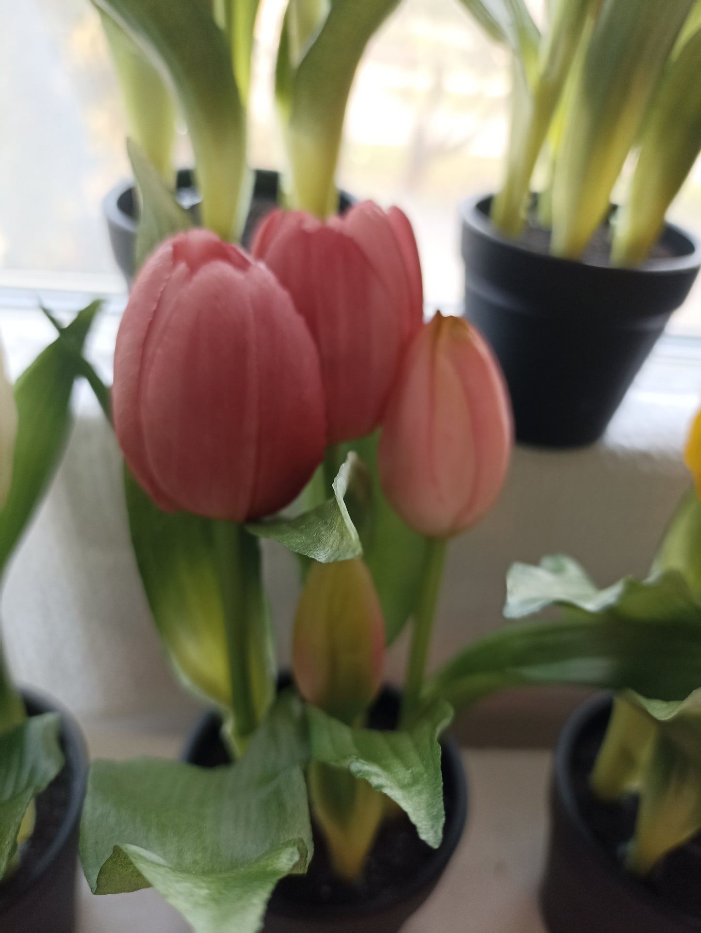 cserepes tulipán élethű virág