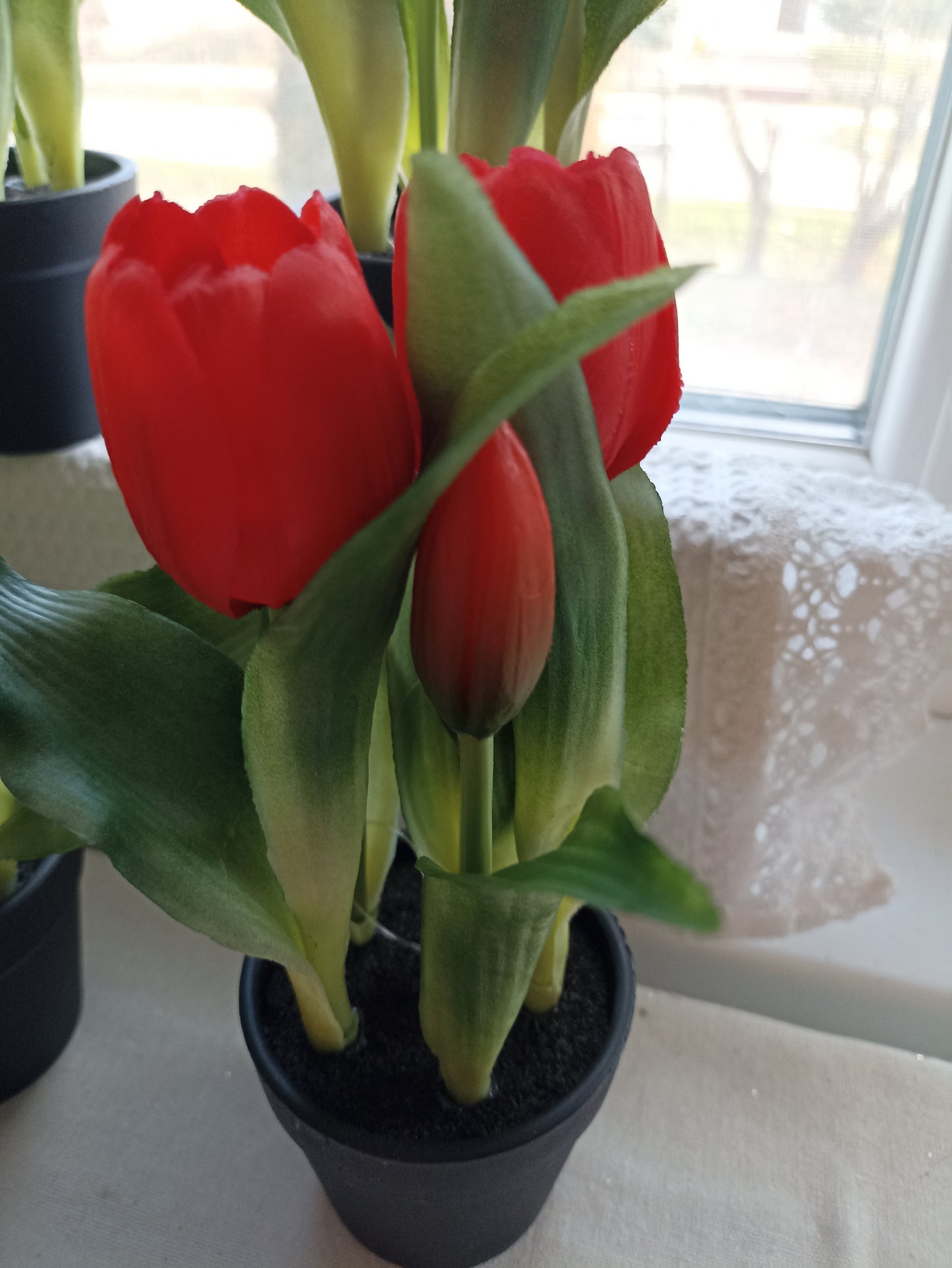 cserepes tulipán élethű virág