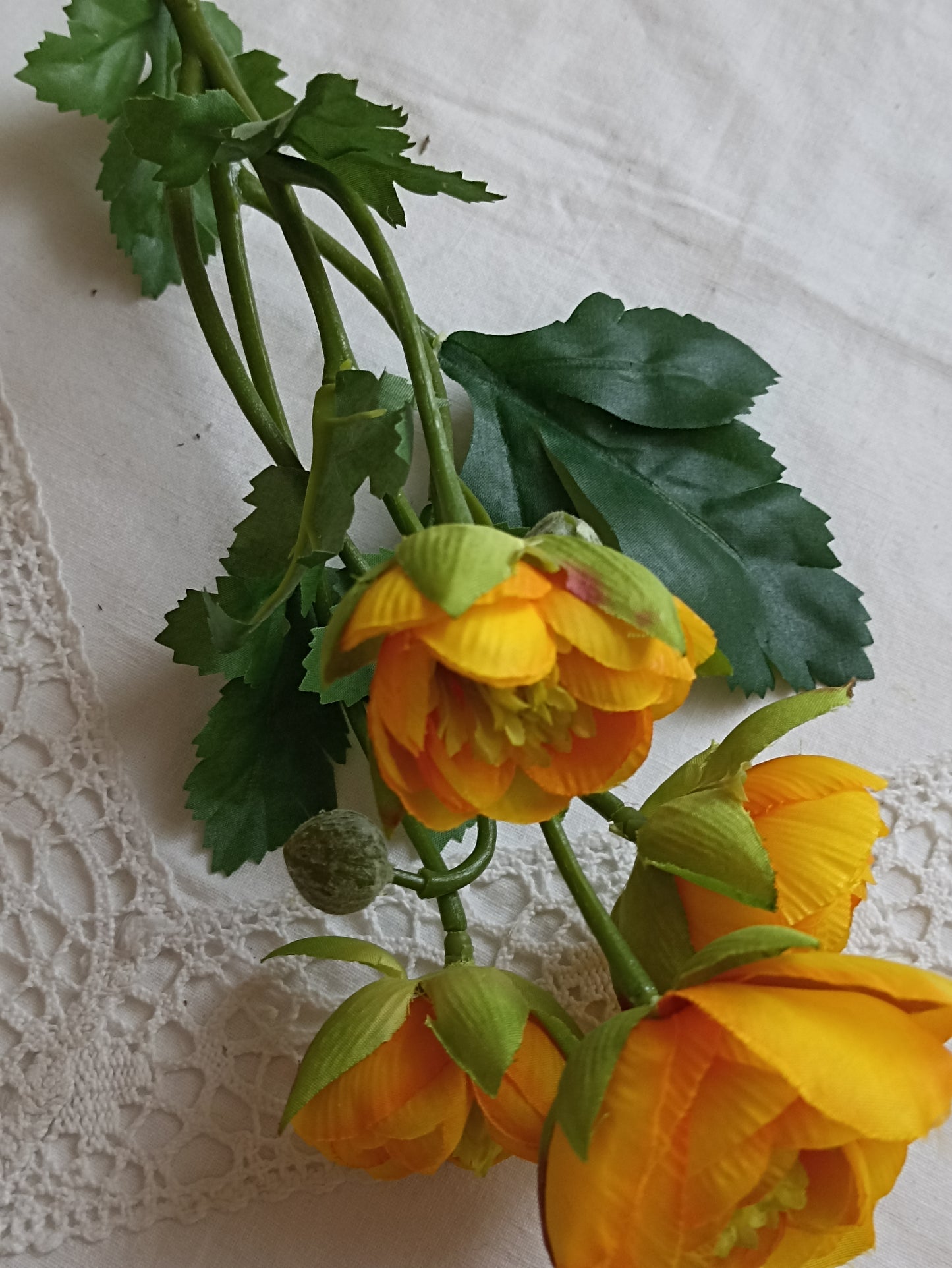 Ranunculus virág
