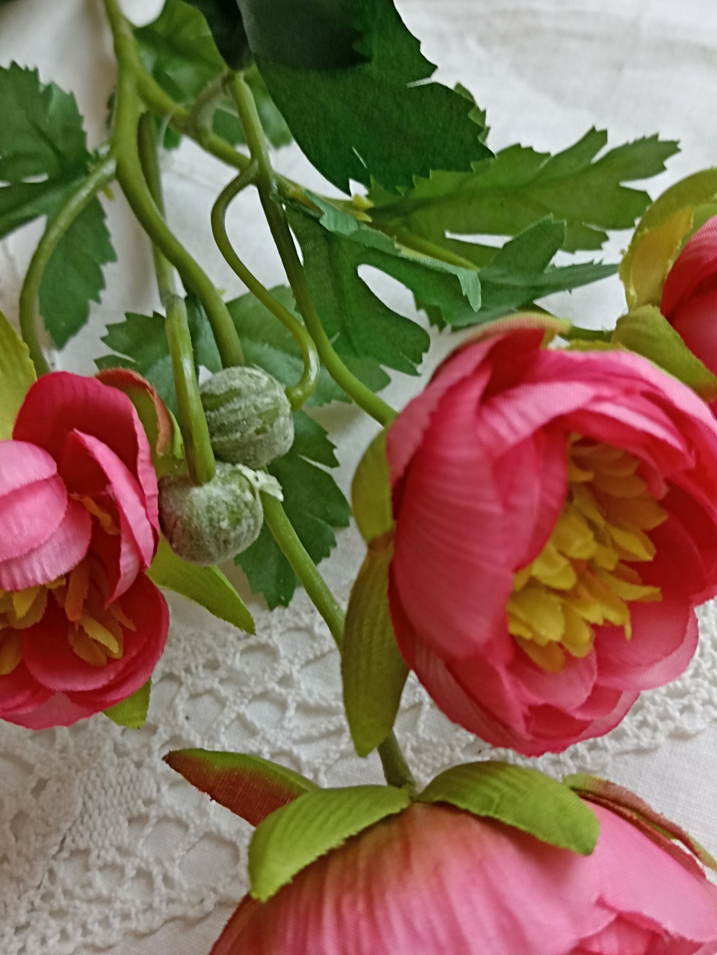 Ranunculus virág