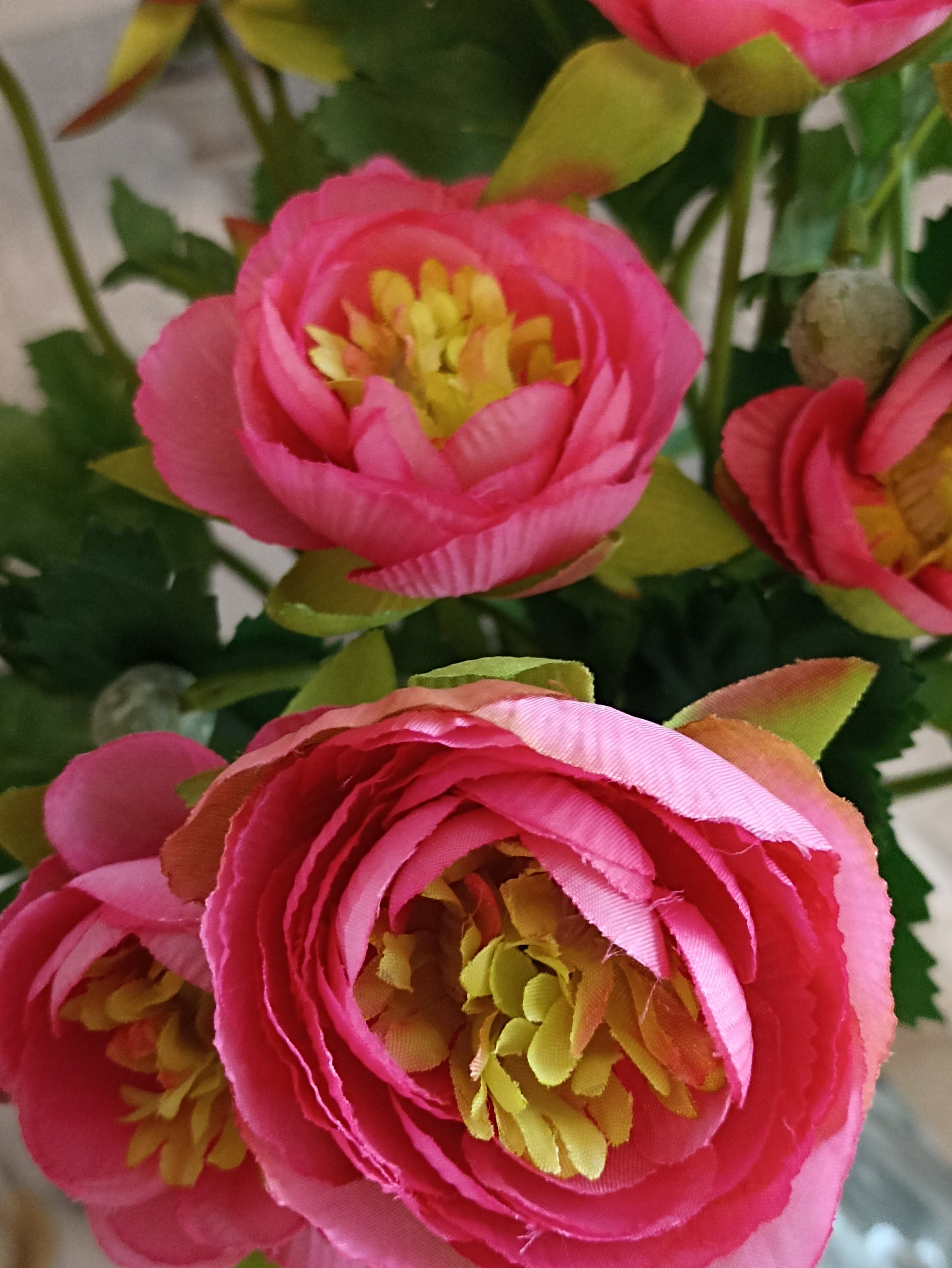 Ranunculus virág