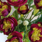 Ranunculus virág